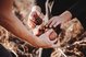 Two people harvest potatoes with their hands.