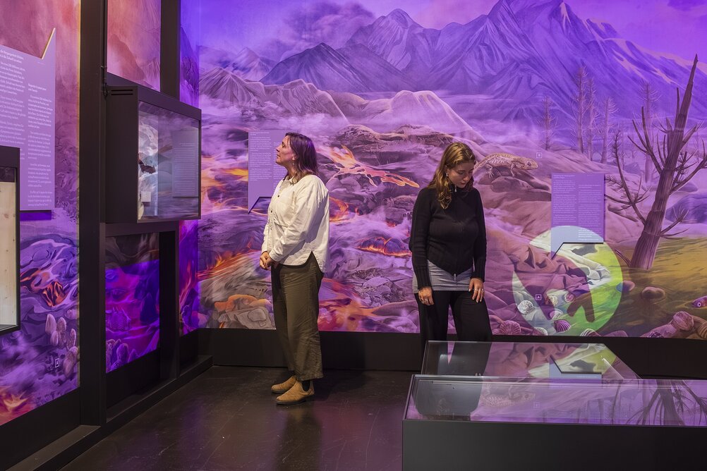 [Translate to English:] Zwei Personen im Ausstellungsraum, beide betrachten eine Vitrine. Der Raum hat bemalte Wände mit Bergen und Natur, violett-farbig beleuchtet.