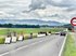Eine Strasse für Autos in der Landschaft. Im Hintergrund das Jura-Gebirge. Menschen schieben am Strassenrand viereckige Steine auf Sackkarren.