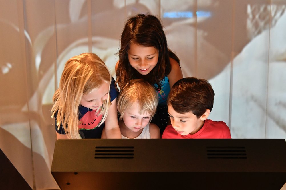 Vor einer Videoprojektion beugen sich vier Kinder über einen Bildschirm. Wir sehen nicht, was auf dem Bildschirm zu sehen ist, aber die Kinder schauen amüsiert und interessiert.