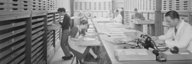 Several people in an archive room sort documents. - enlarged view