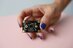 Eine Person hält einen Computerchip in der Hand.