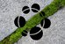 De la mousse verte pousse dans la fente entre deux dalles de pierre grise. Au-dessus, on peut voir un symbole graphique avec sept cercles reliés entre eux.