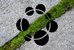 Im Spalt zwischen zwei grauen Steinplatten wächst grünes Moos. Darüber ist ein grafisches Symbol mit sieben Kreisen zu sehen, die miteinander verbunden sind.