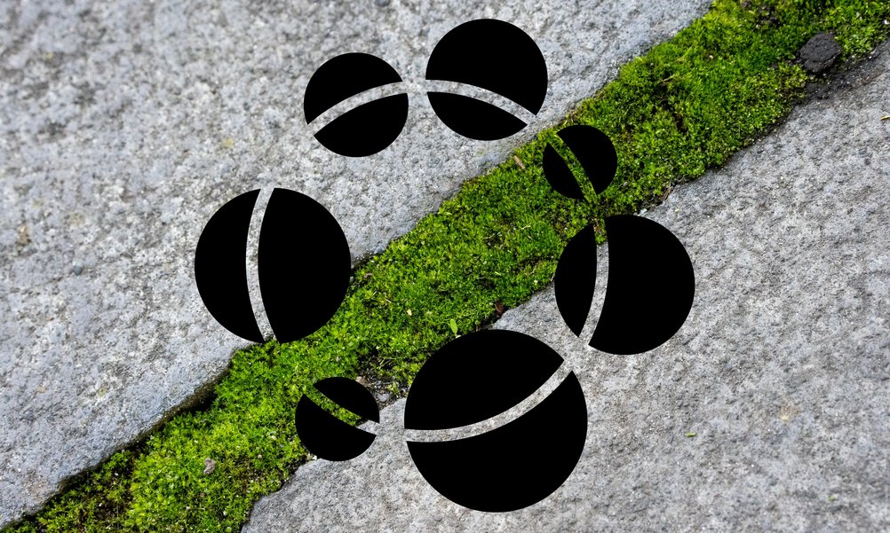 De la mousse verte pousse dans la fente entre deux dalles de pierre grise. Au-dessus, on peut voir un symbole graphique avec sept cercles reliés entre eux.